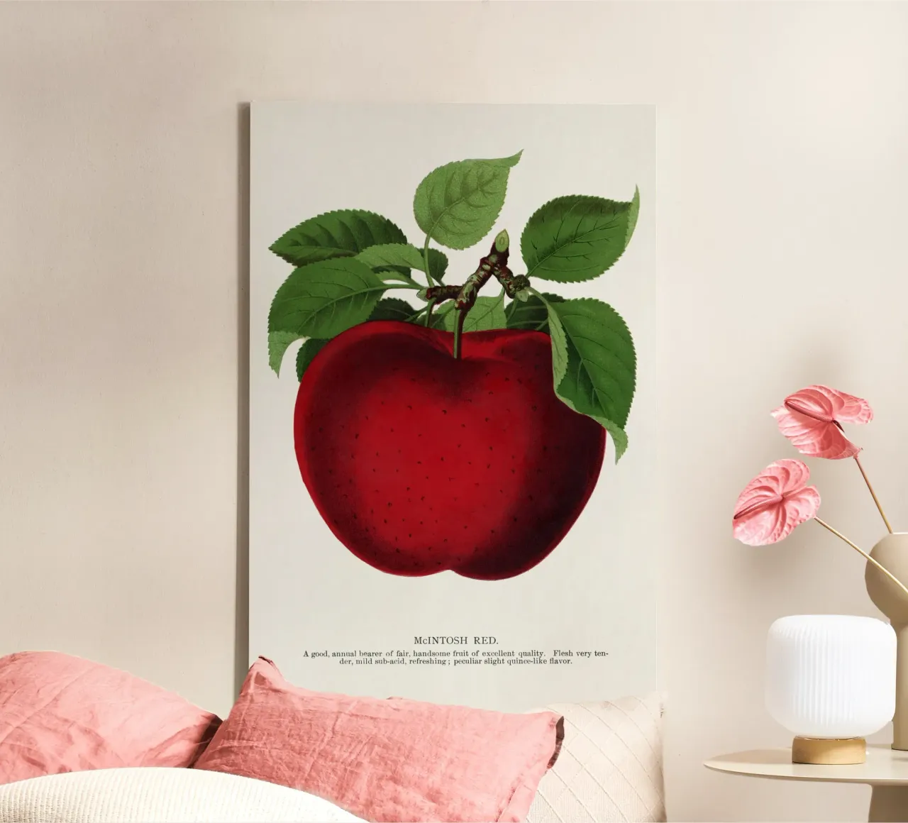 McIntosh Red apple tela con Cornice a cassetta da vintageshop