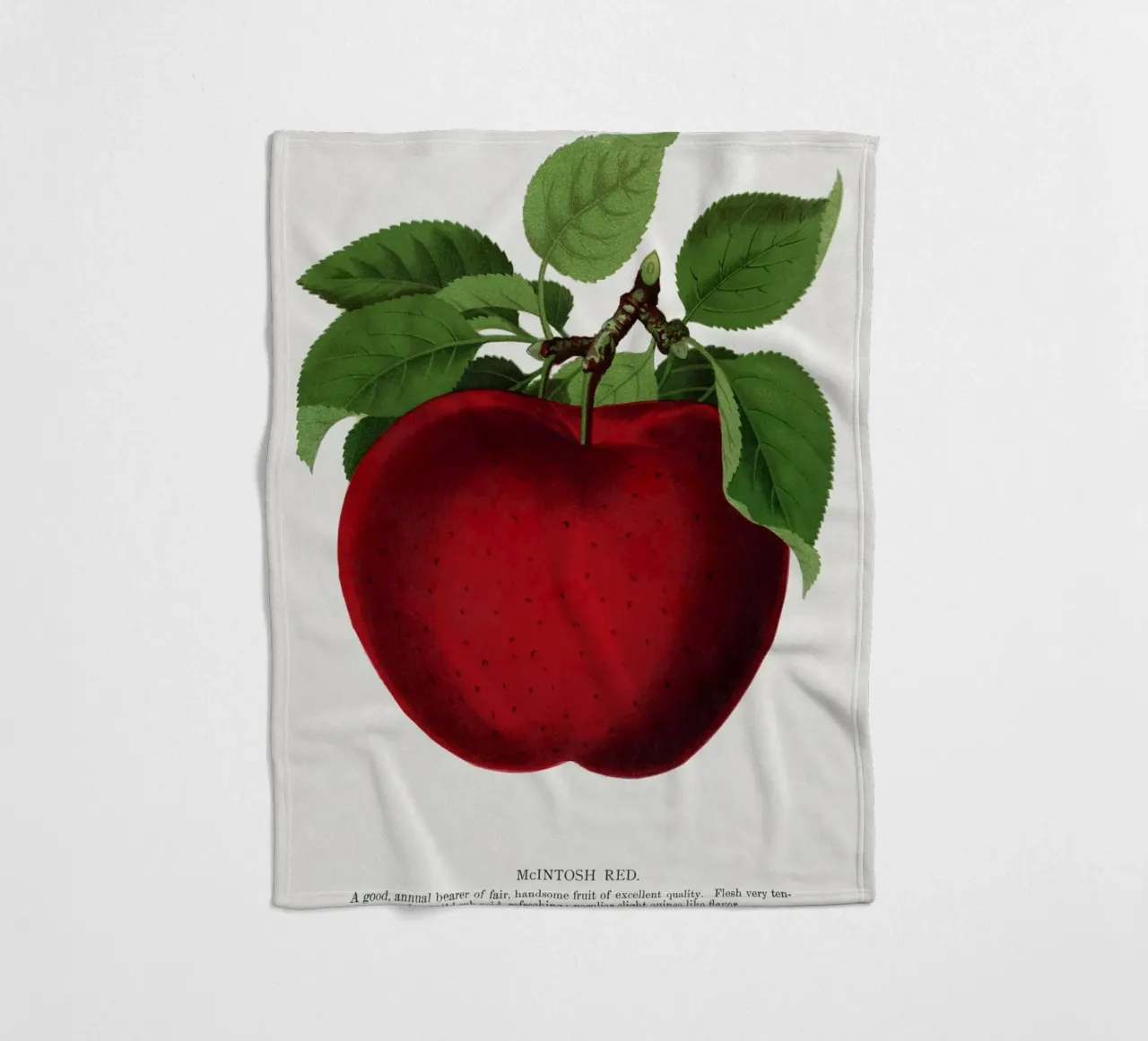 McIntosh Red apple coperta in pile da vintageshop