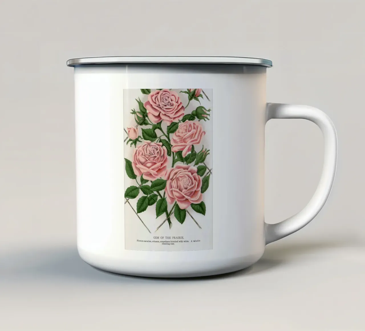 Pink rose, Gem of the Prairie tazza in smalto da vintageshop