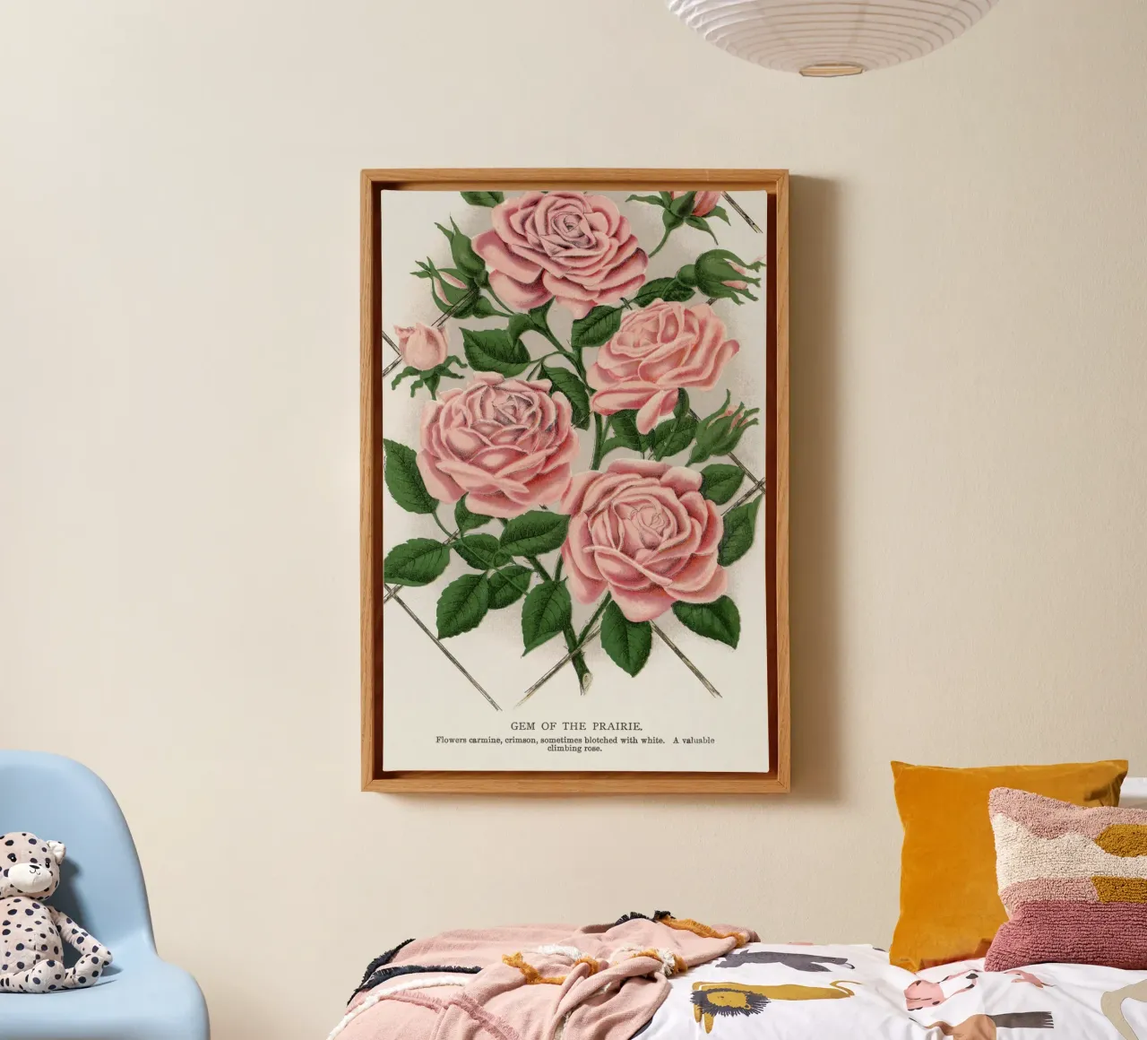 Pink rose, Gem of the Prairie tela con Cornice a cassetta da vintageshop