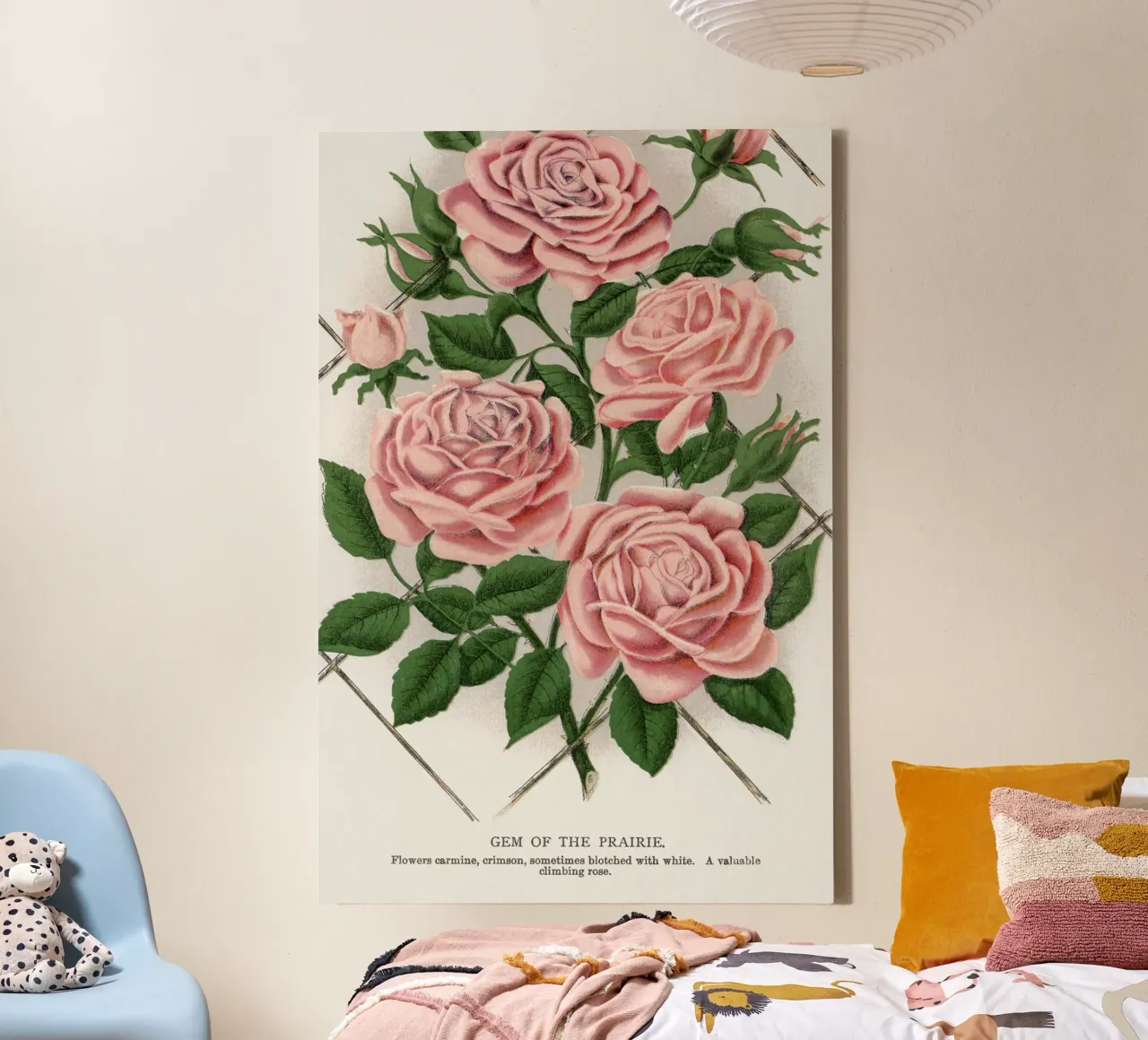Pink rose, Gem of the Prairie tela con Cornice a cassetta da vintageshop