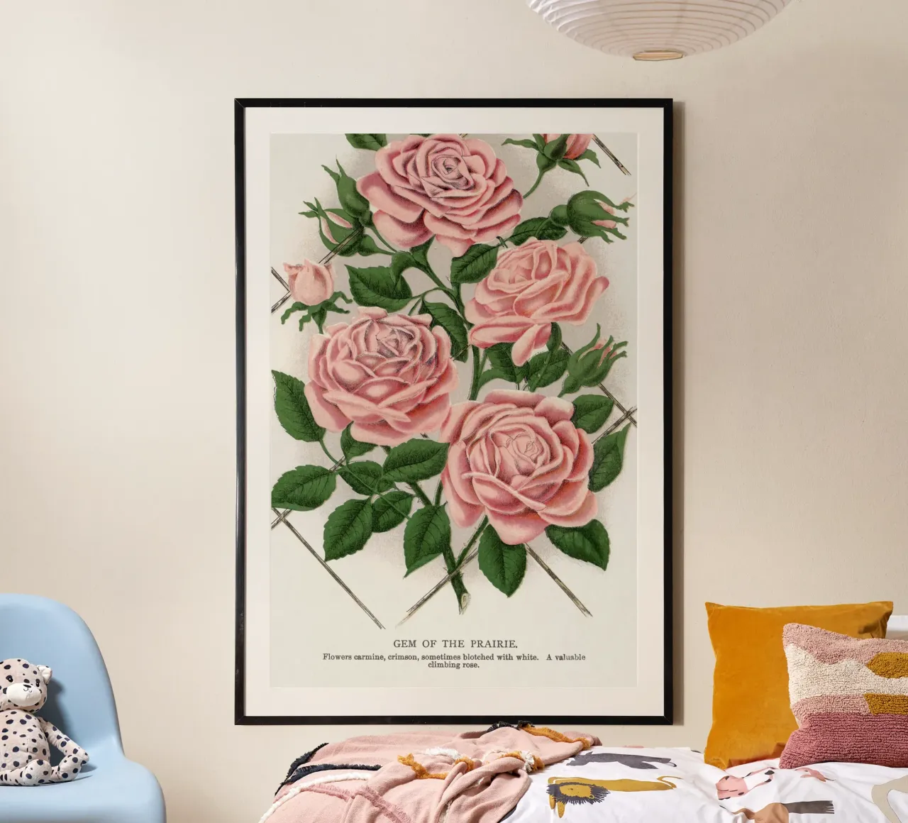 Pink rose, Gem of the Prairie poster con telaio in plastica da vintageshop