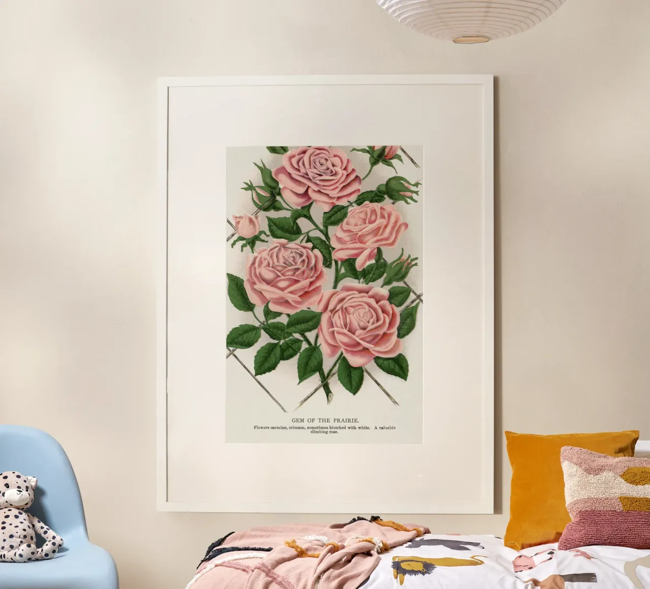 Pink rose, Gem of the Prairie poster con telaio in plastica da vintageshop