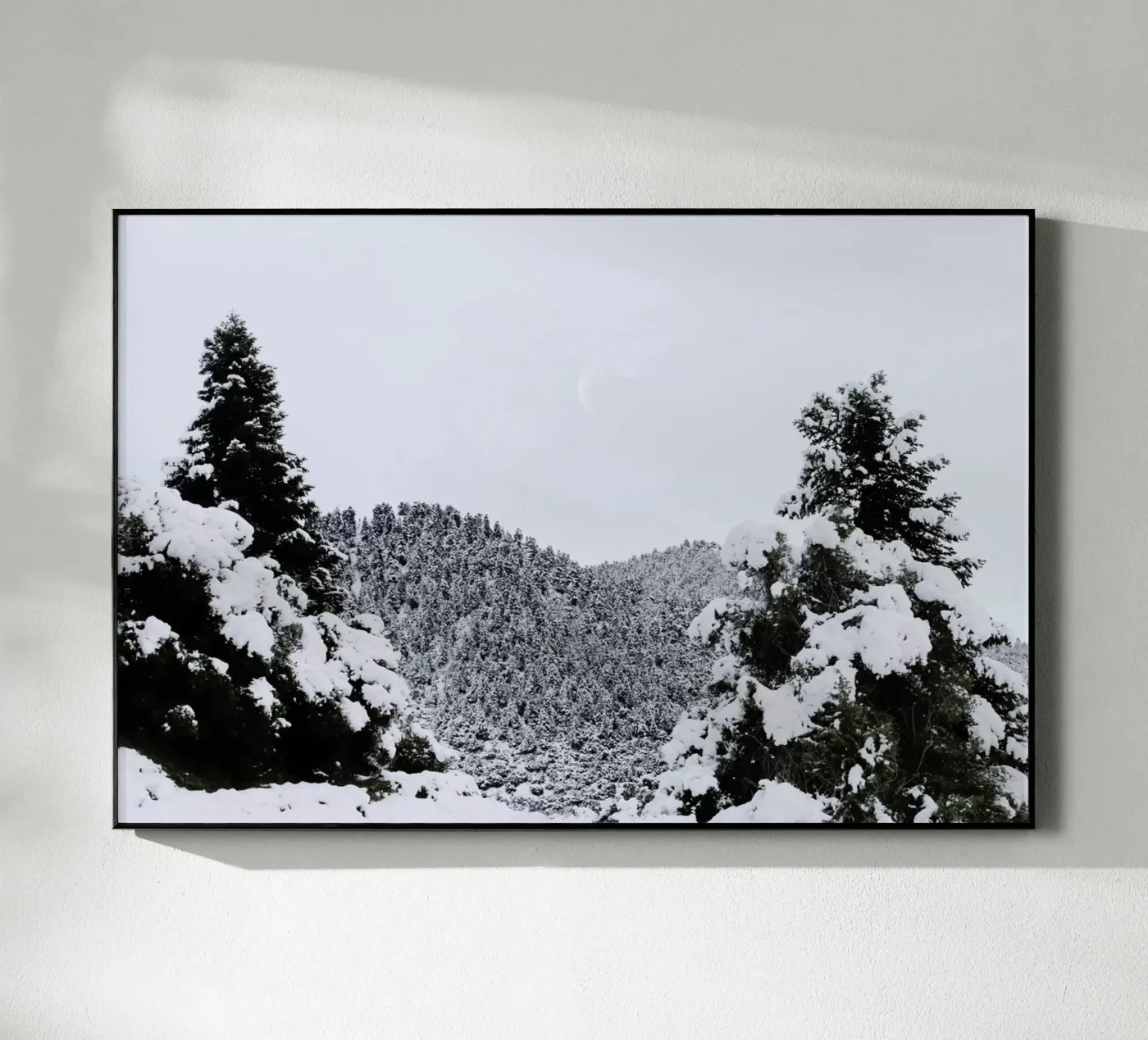 White Christmas plexiglass da George Griefy