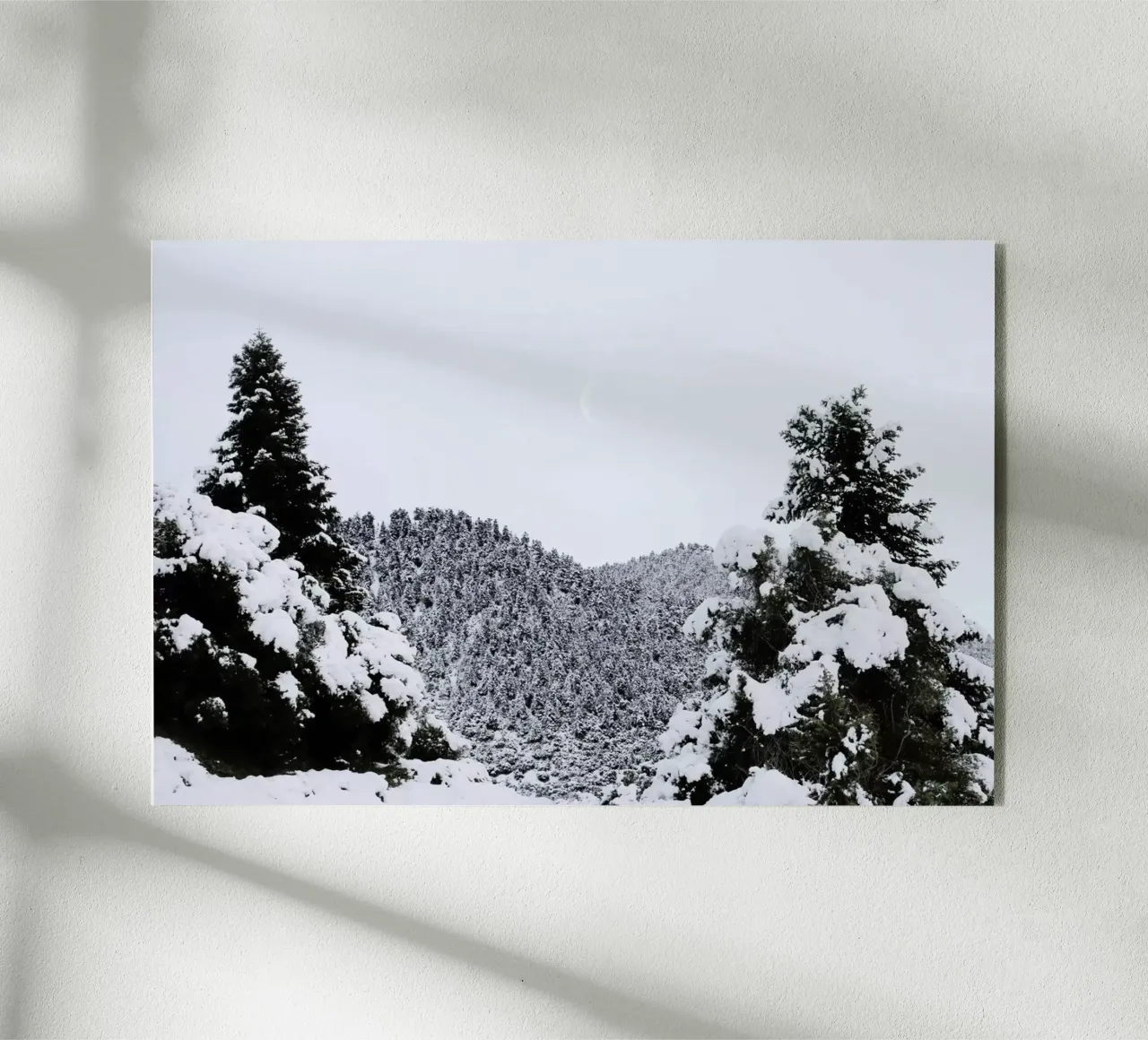 White Christmas plexiglass da George Griefy