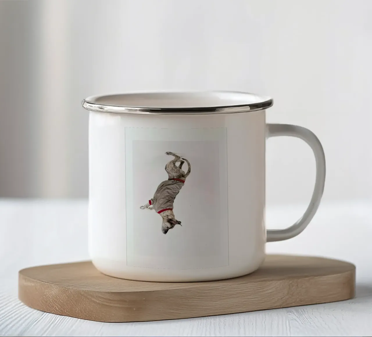 The Tailwaggers 1-2 tazza in smalto da Paul Aidan Perry