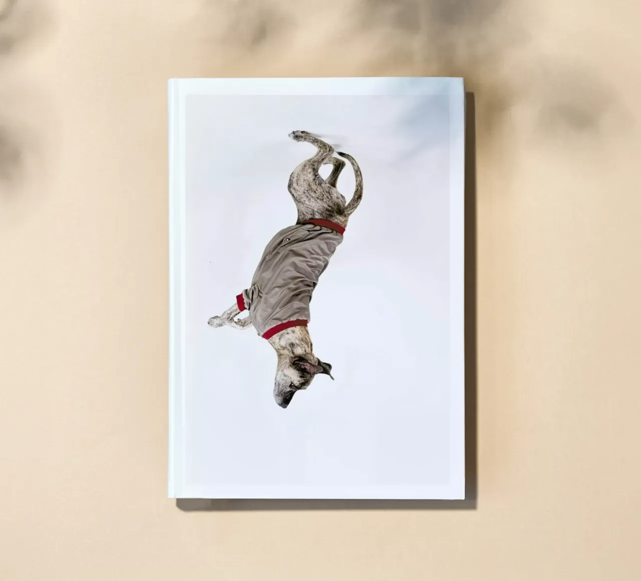The Tailwaggers 1-2 notebook by Paul Aidan Perry