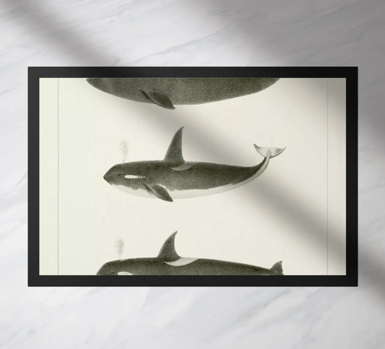 Scammon - Orca or Killer Whale zerbino da Vintage by JUNIQE