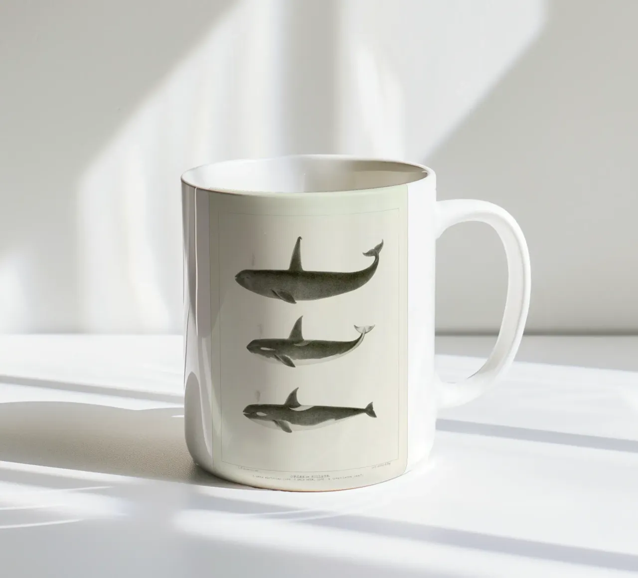 Scammon - Orca or Killer Whale tazza in ceramica da Vintage by JUNIQE