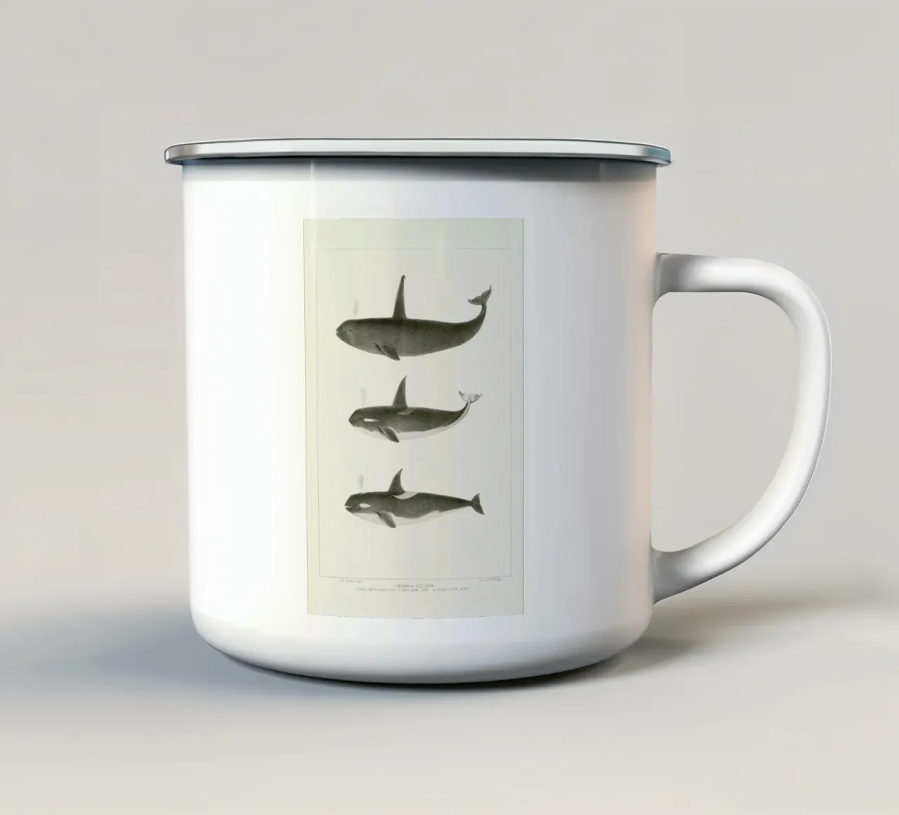 Scammon - Orca or Killer Whale tazza in smalto da Vintage by JUNIQE