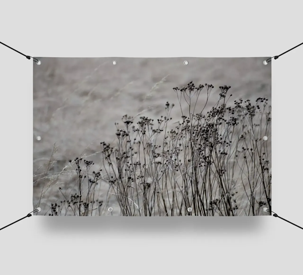 Flower Buds In The Beige Greige Golden Field 1 telo in pvc da Studio Nahili