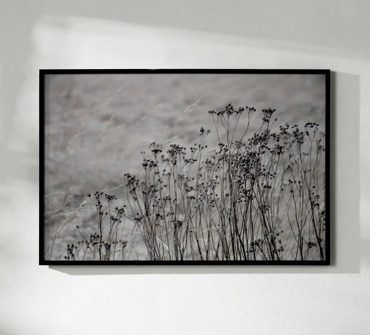 Flower Buds In The Beige Greige Golden Field 1 poster by Studio Nahili