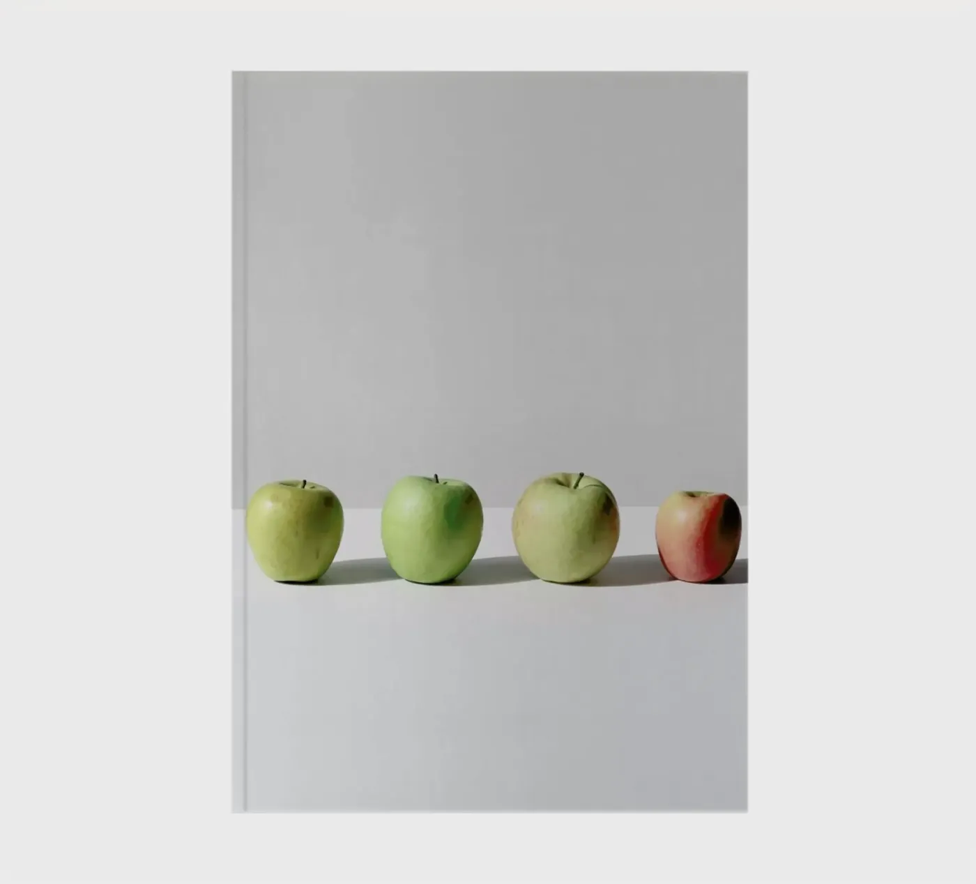 Apples notebook by George Griefy