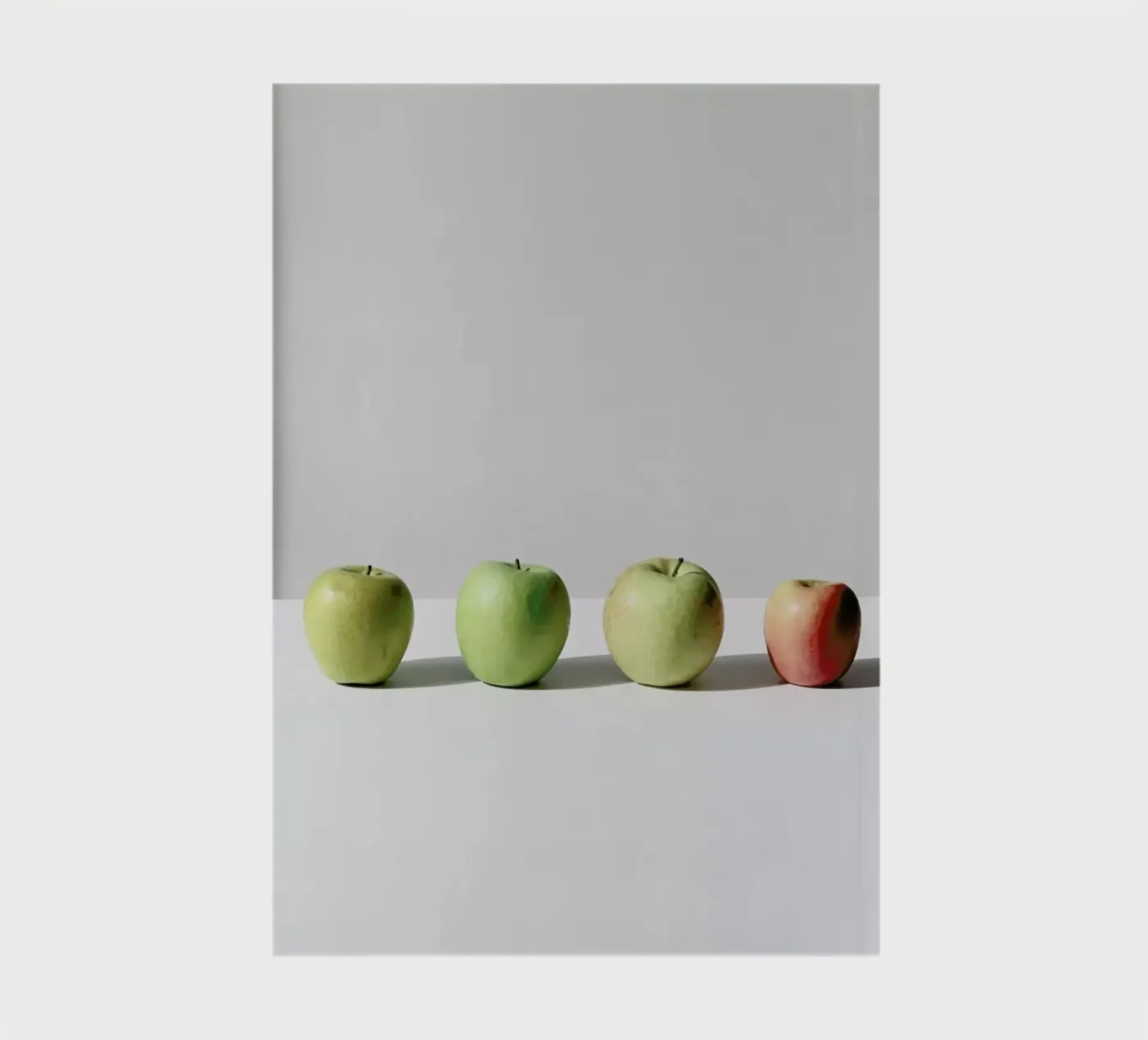Apples notebook by George Griefy