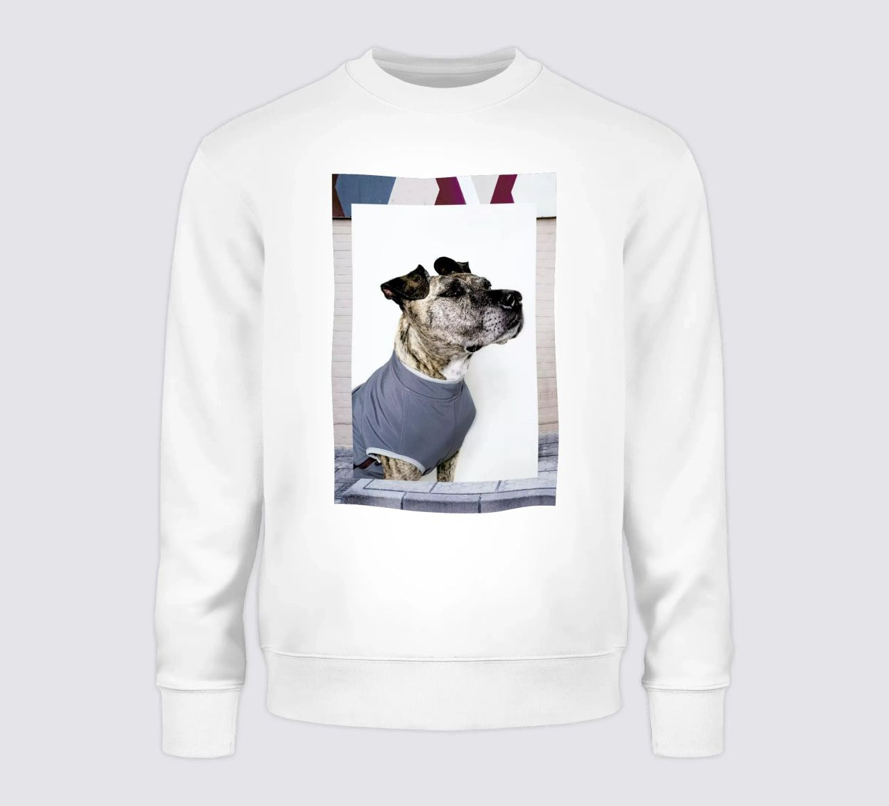 The Tailwaggers 7-3 sudadera de Paul Aidan Perry
