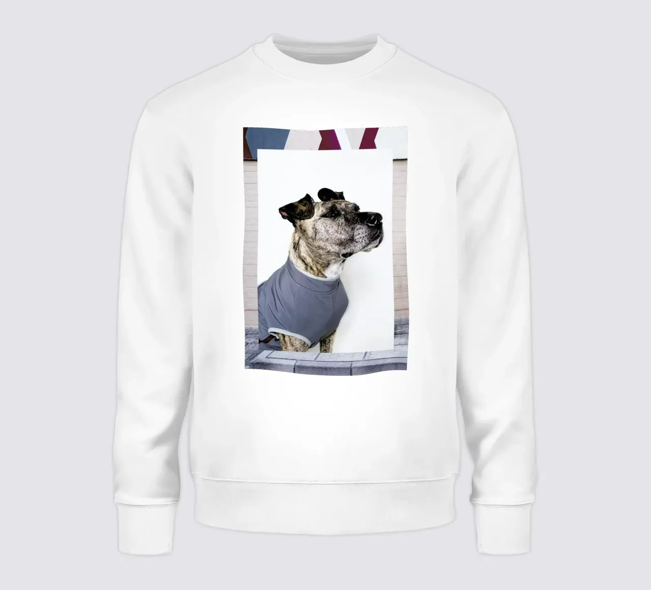 The Tailwaggers 7-3 sudadera de Paul Aidan Perry