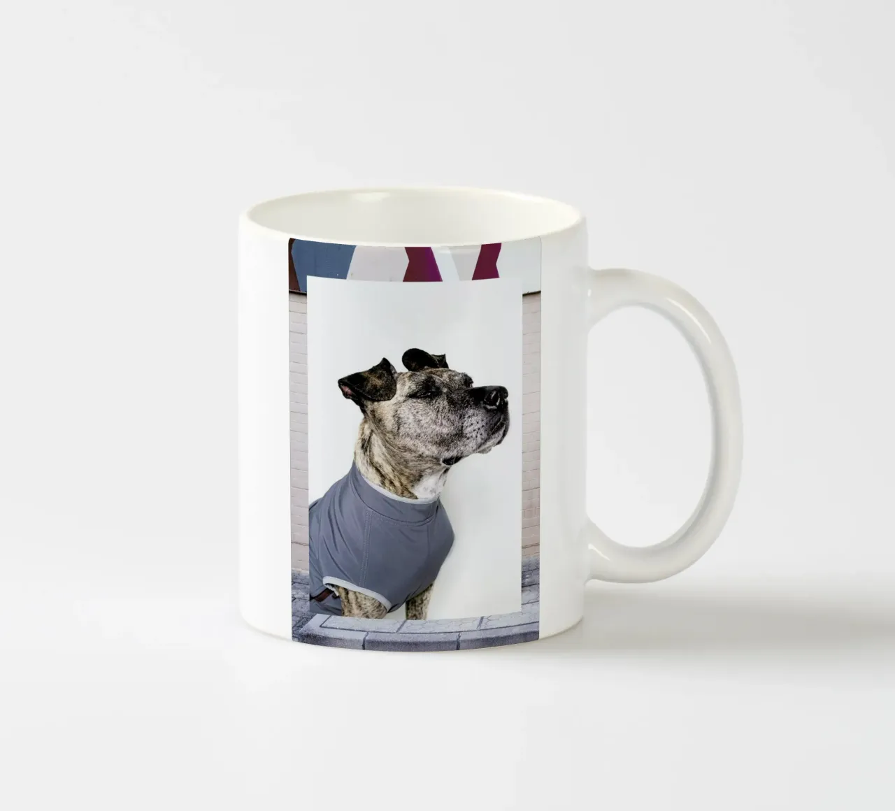 The Tailwaggers 7-3 tazza in ceramica da Paul Aidan Perry