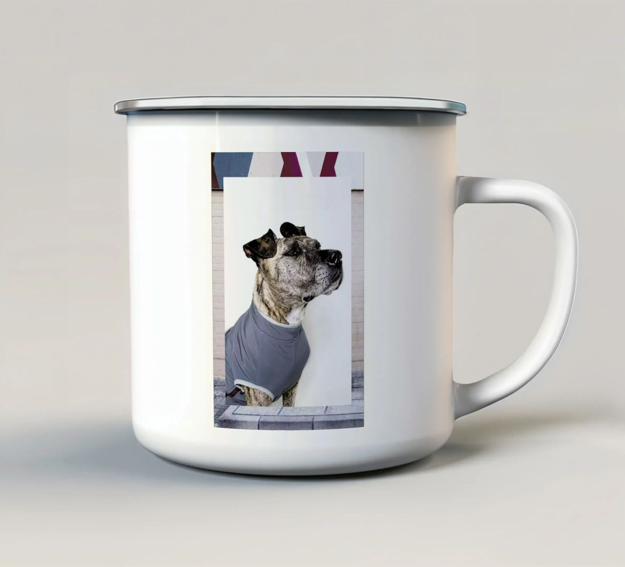 The Tailwaggers 7-3 tazza in smalto da Paul Aidan Perry