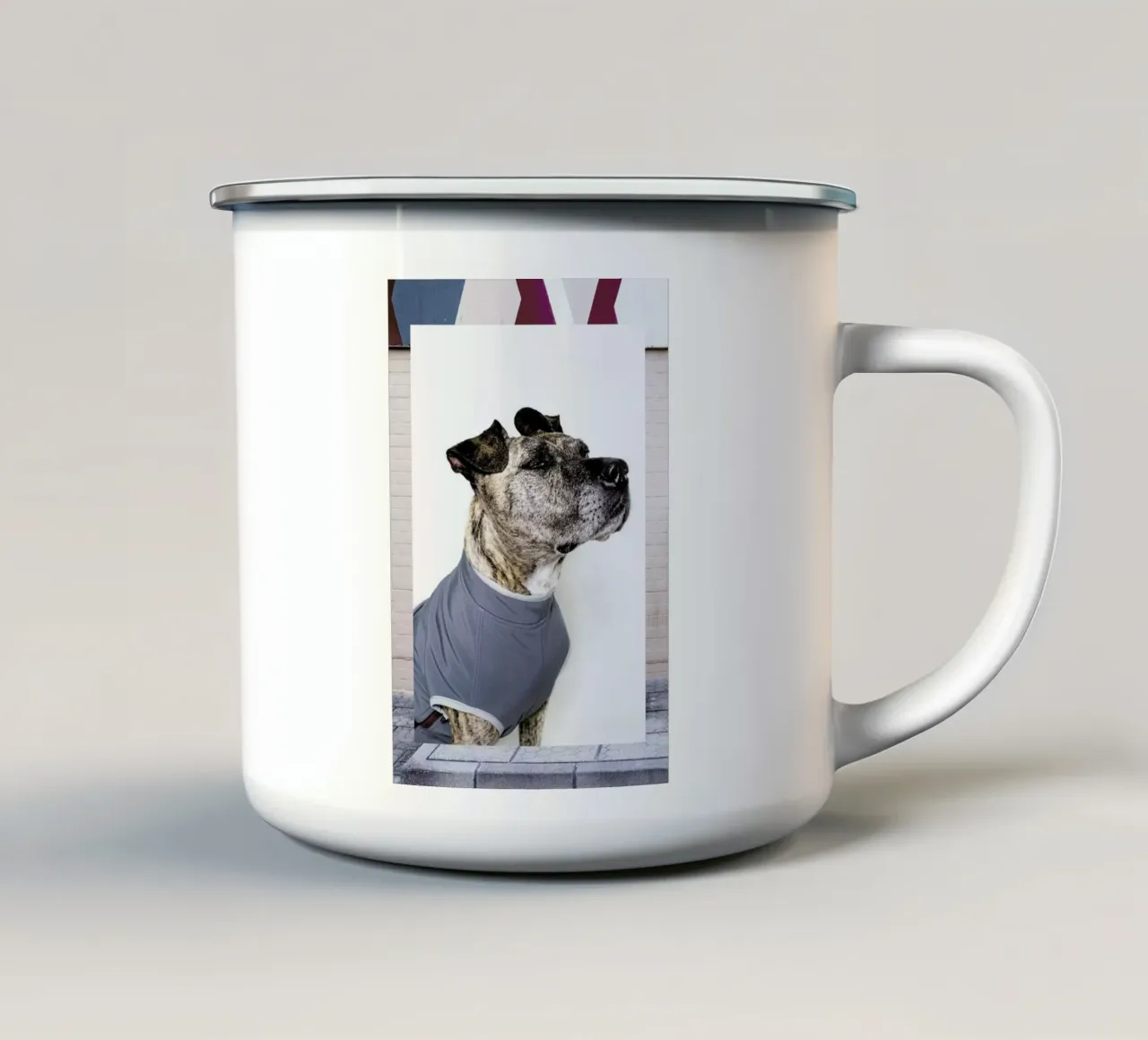 The Tailwaggers 7-3 tazza in smalto da Paul Aidan Perry