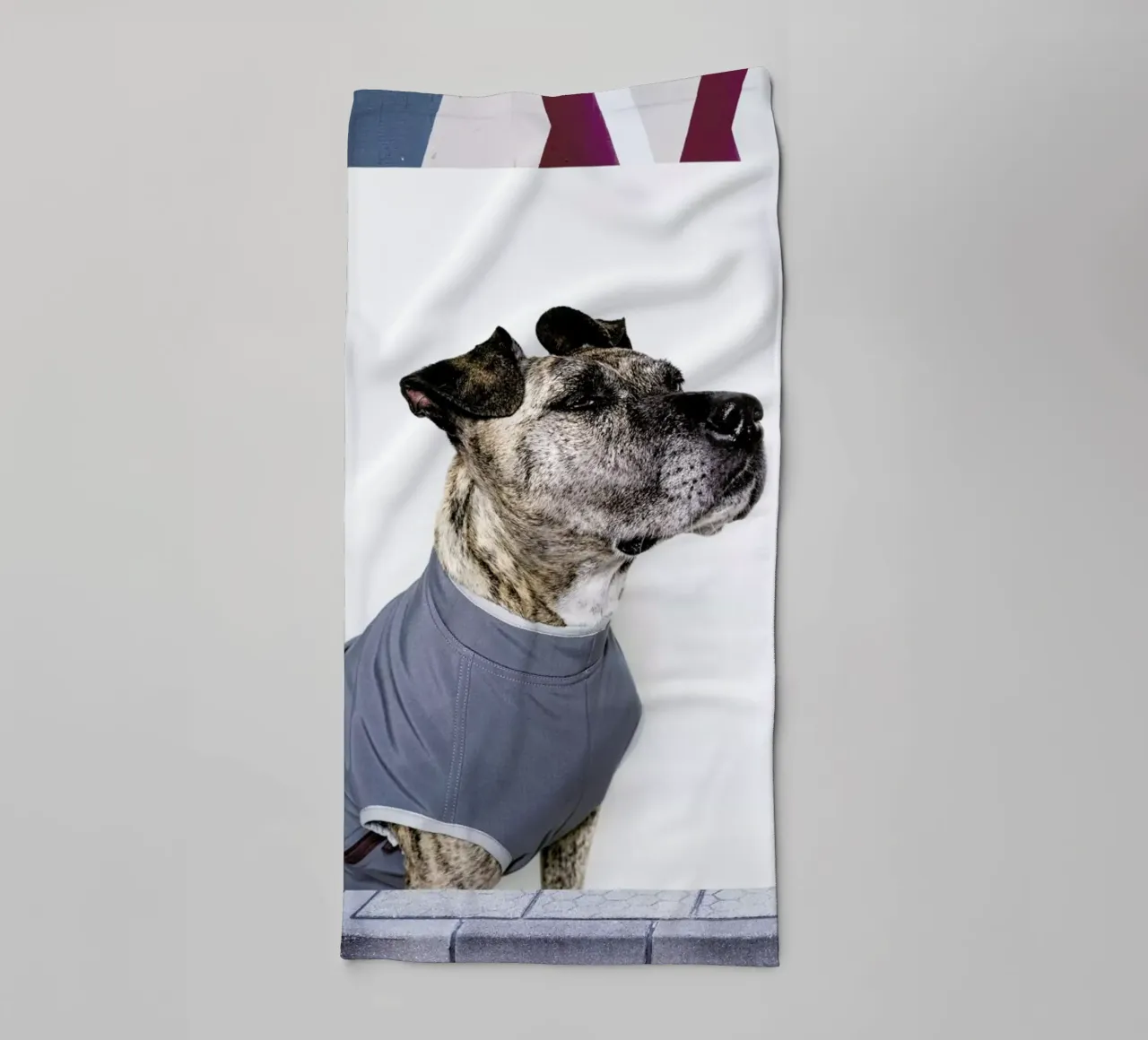 The Tailwaggers 7-3 towel by Paul Aidan Perry