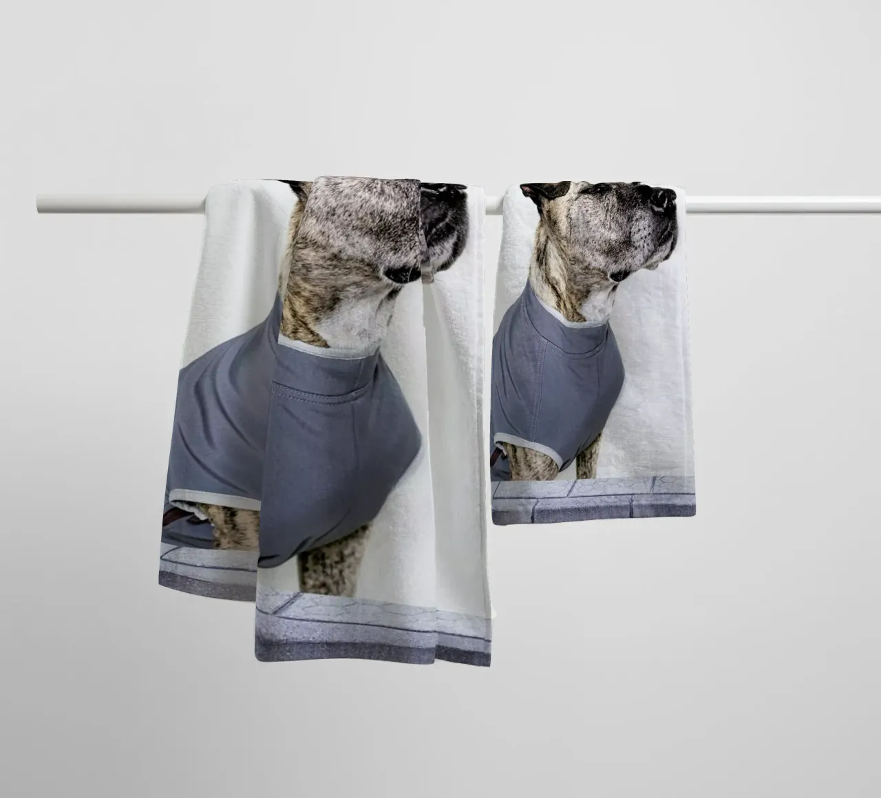 The Tailwaggers 7-3 towel by Paul Aidan Perry