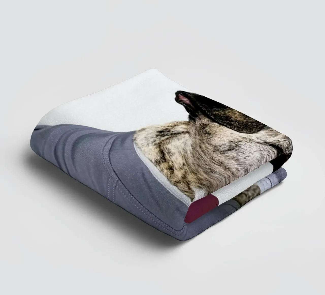 The Tailwaggers 7-3 towel by Paul Aidan Perry