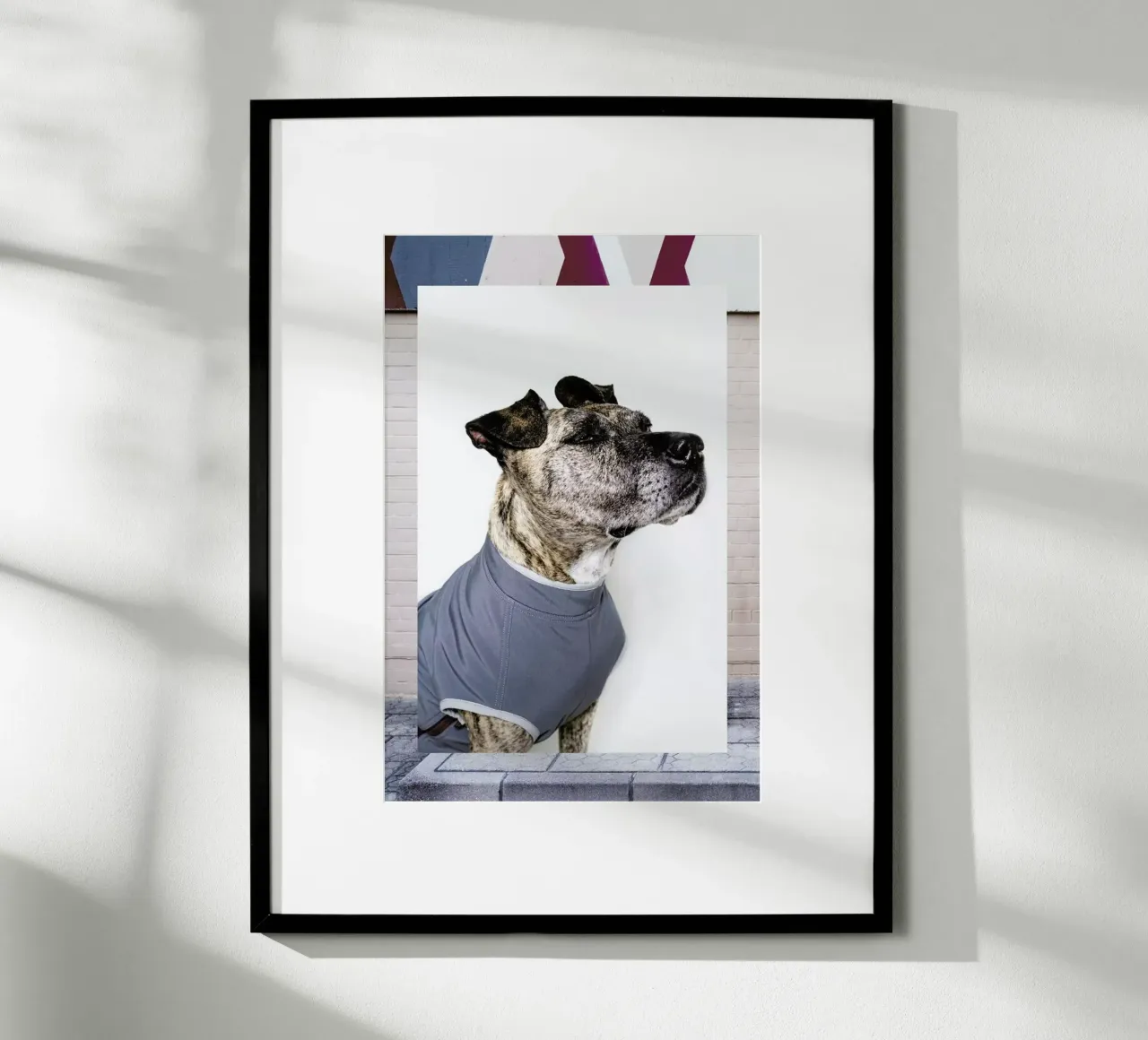 The Tailwaggers 7-3 poster con telaio in plastica da Paul Aidan Perry