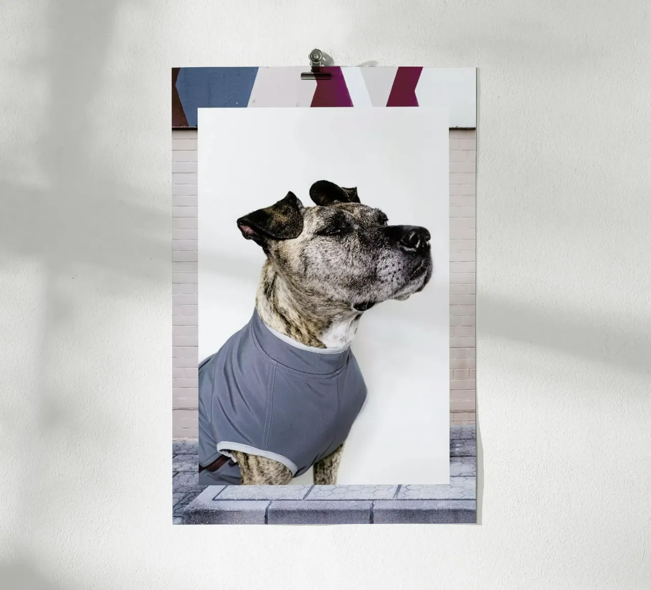 The Tailwaggers 7-3 poster con telaio in plastica da Paul Aidan Perry