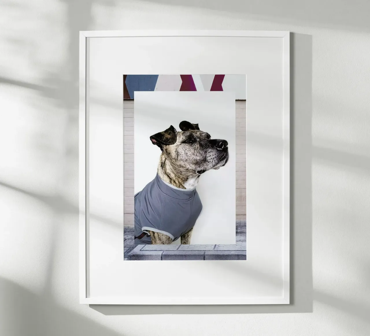 The Tailwaggers 7-3 poster con telaio in plastica da Paul Aidan Perry