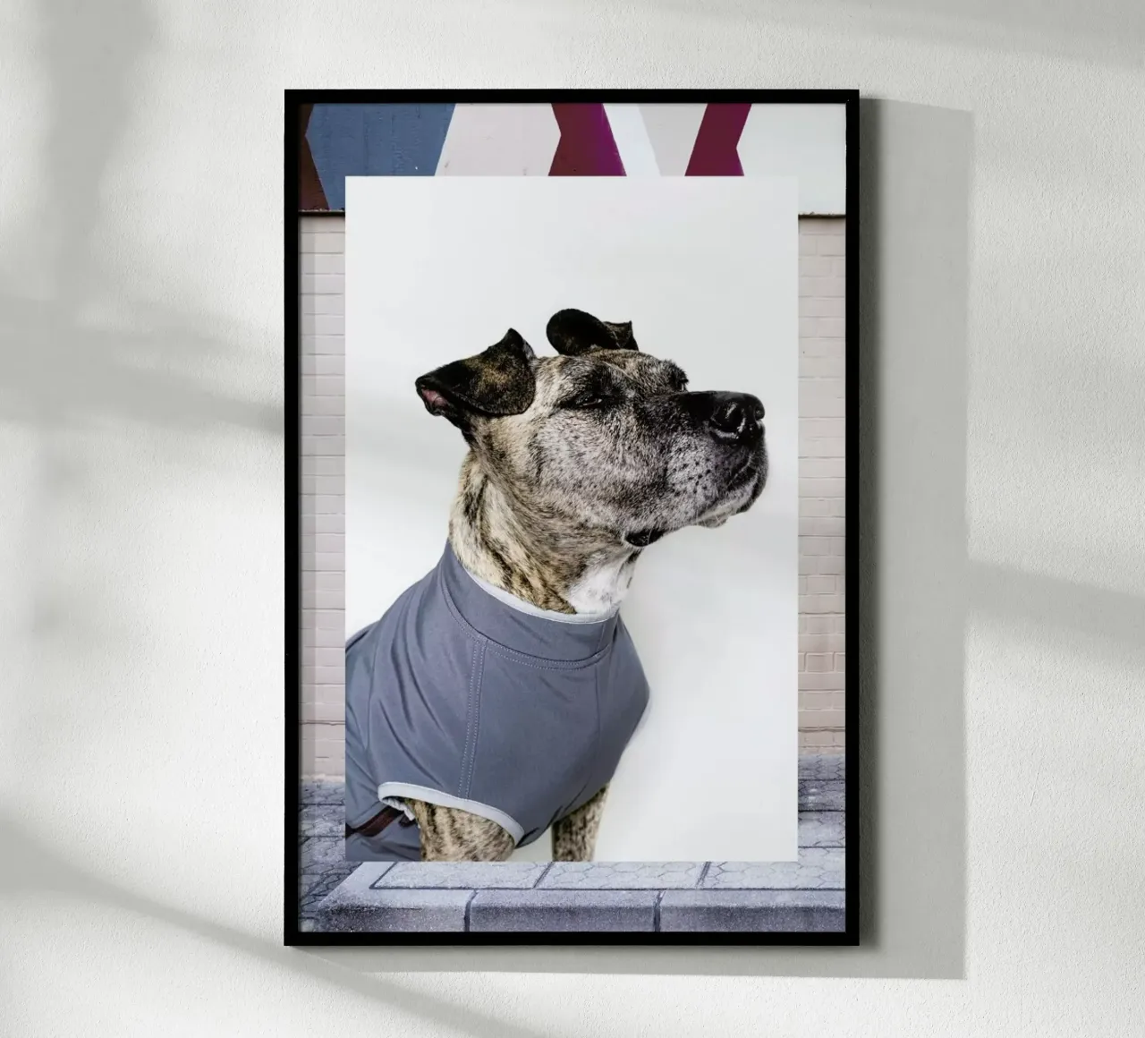The Tailwaggers 7-3 poster con telaio in plastica da Paul Aidan Perry