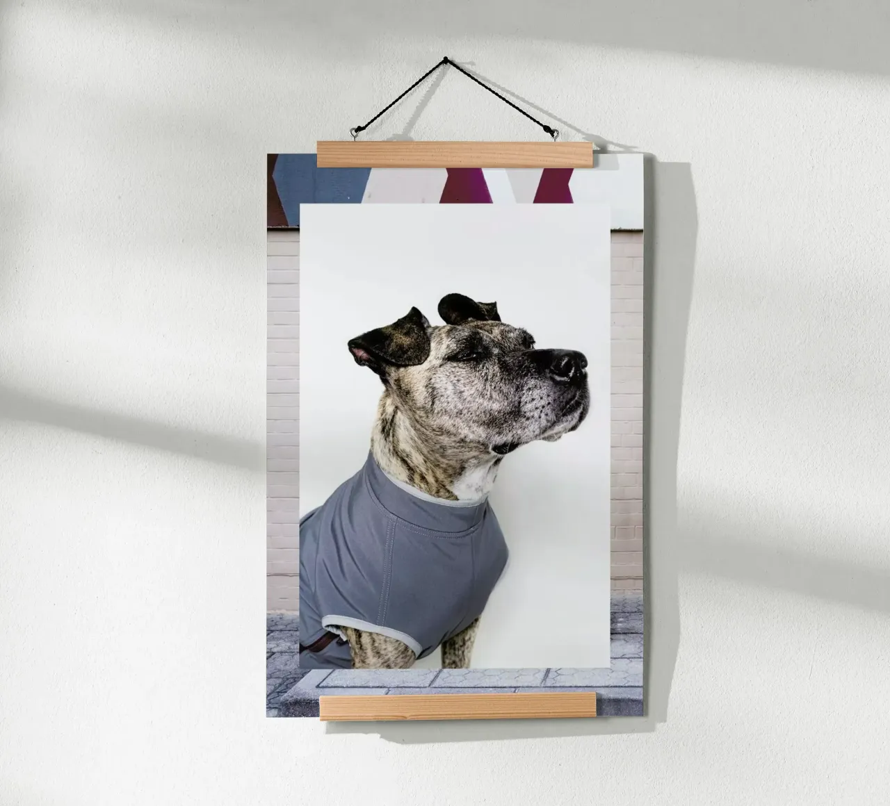 The Tailwaggers 7-3 poster con telaio in plastica da Paul Aidan Perry