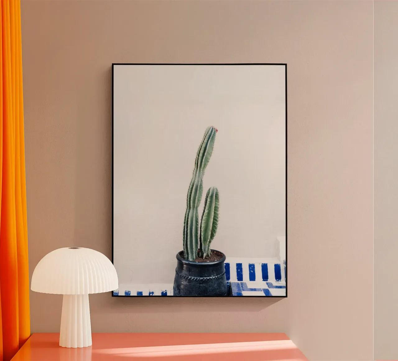 Potted cactus in Morocco plexiglass da photolovers