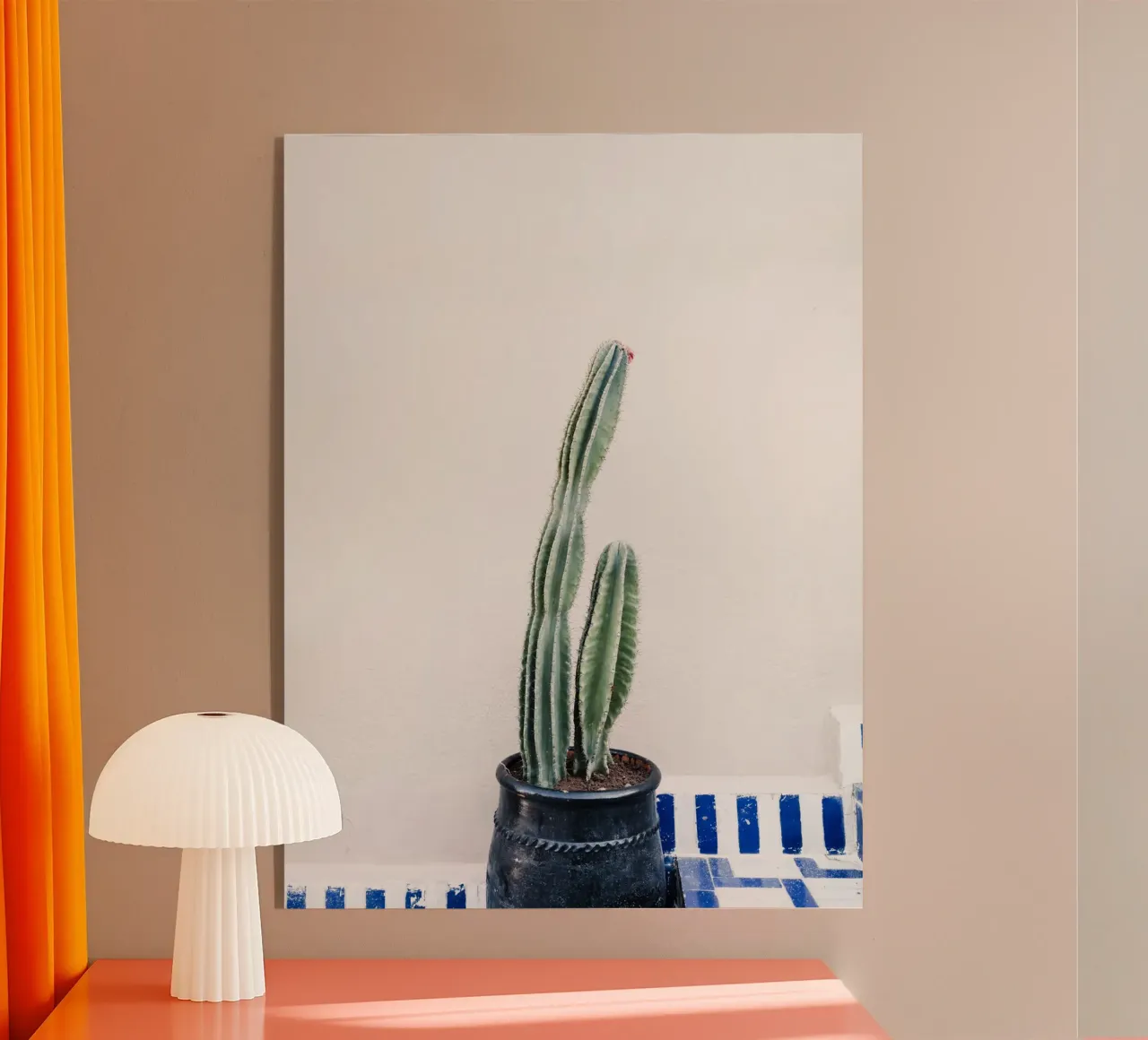 Potted cactus in Morocco plexiglass da photolovers
