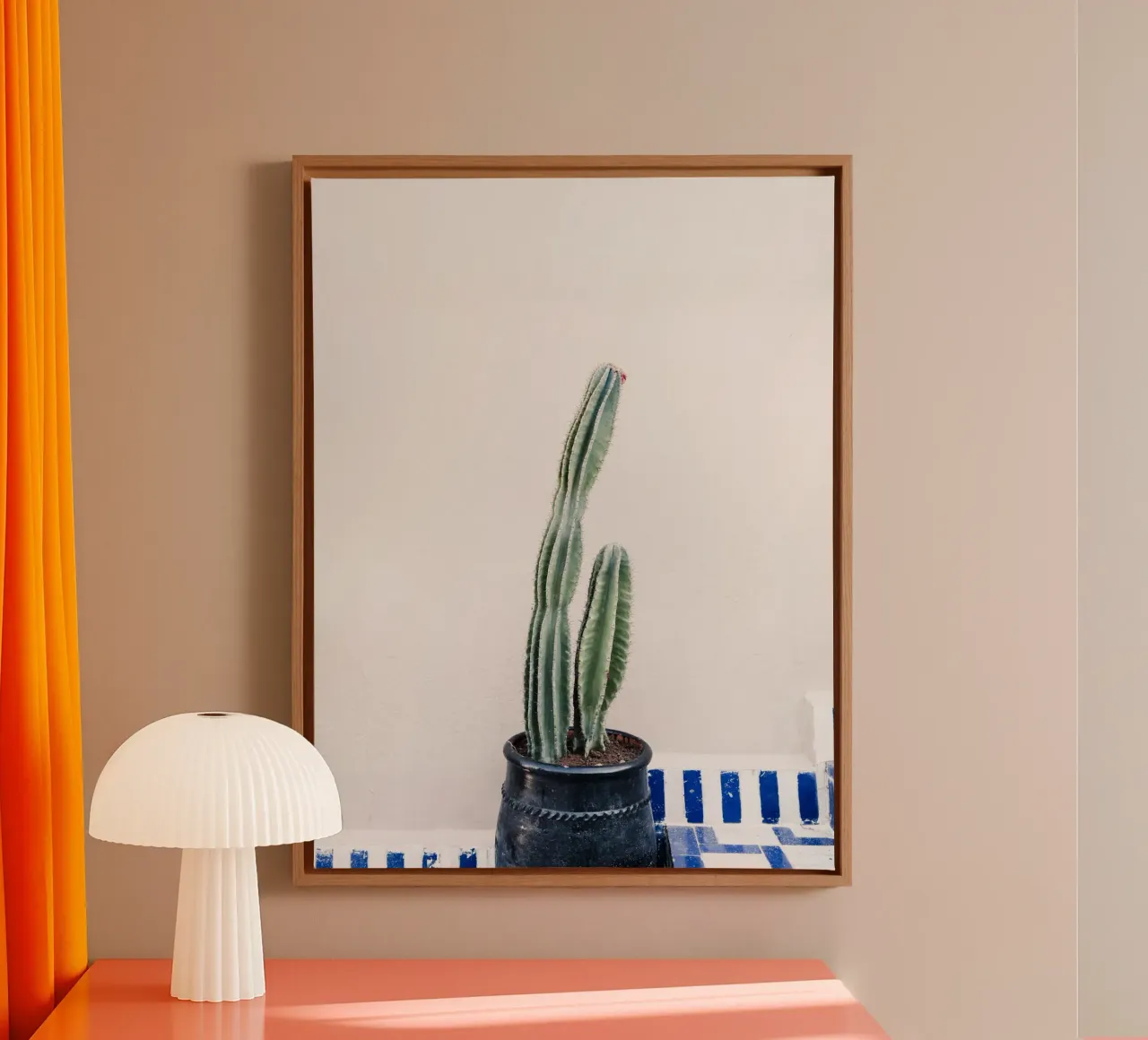 Potted cactus in Morocco tela con Cornice a cassetta da photolovers