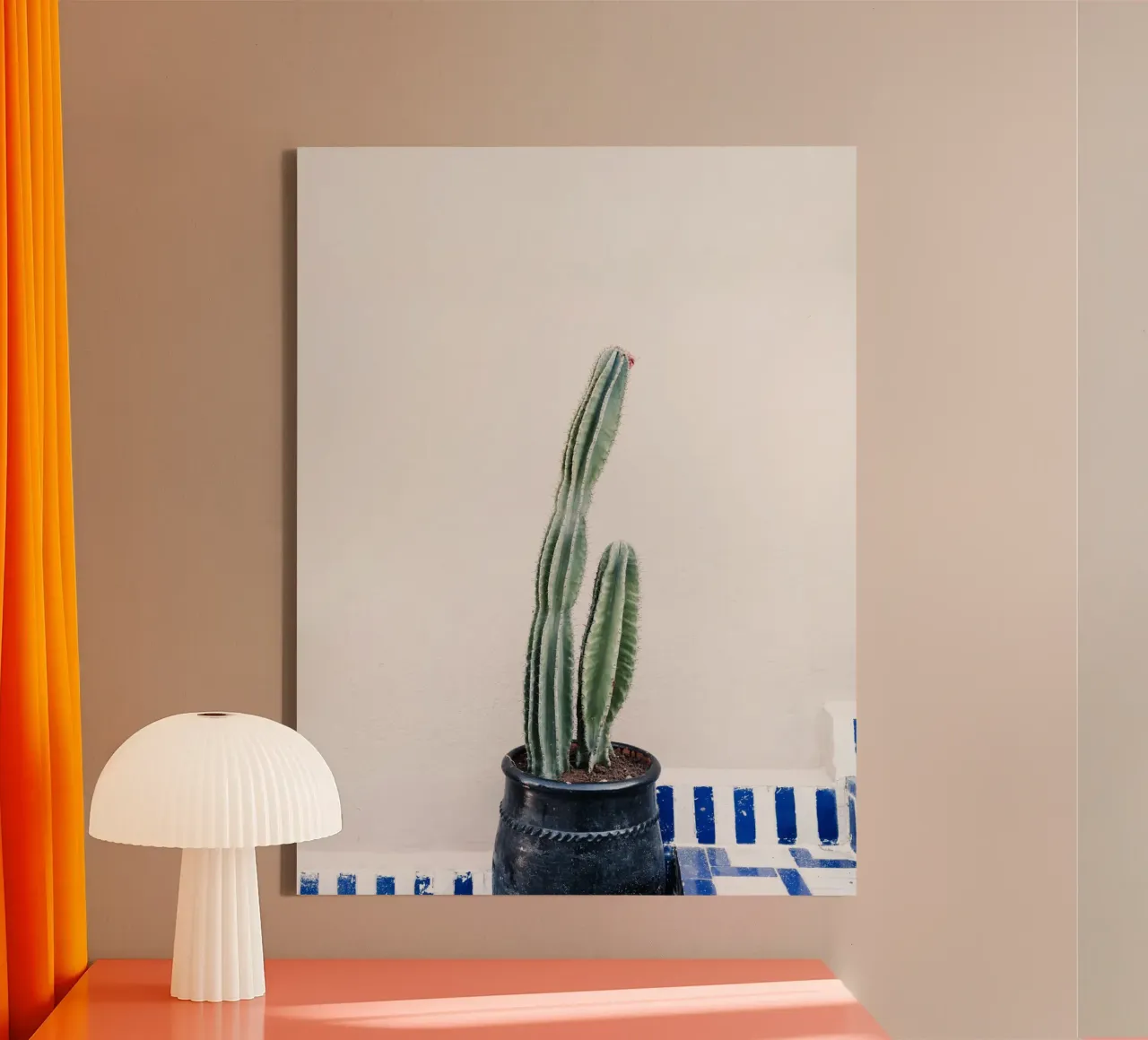 Potted cactus in Morocco tela con Cornice a cassetta da photolovers