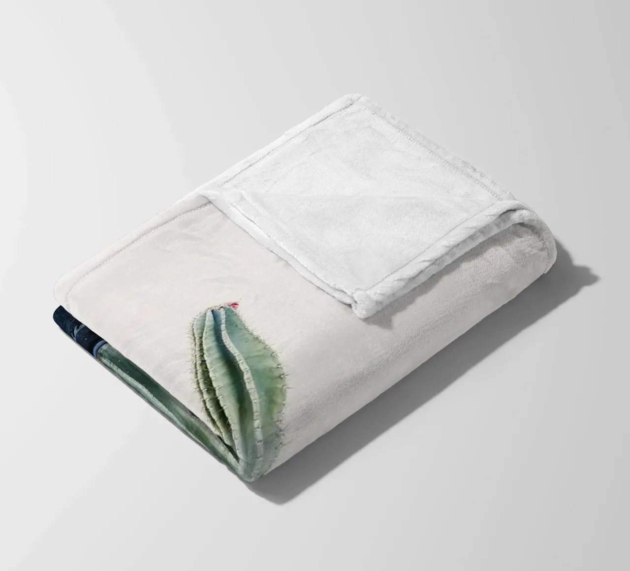 Potted cactus in Morocco coperta in pile da photolovers