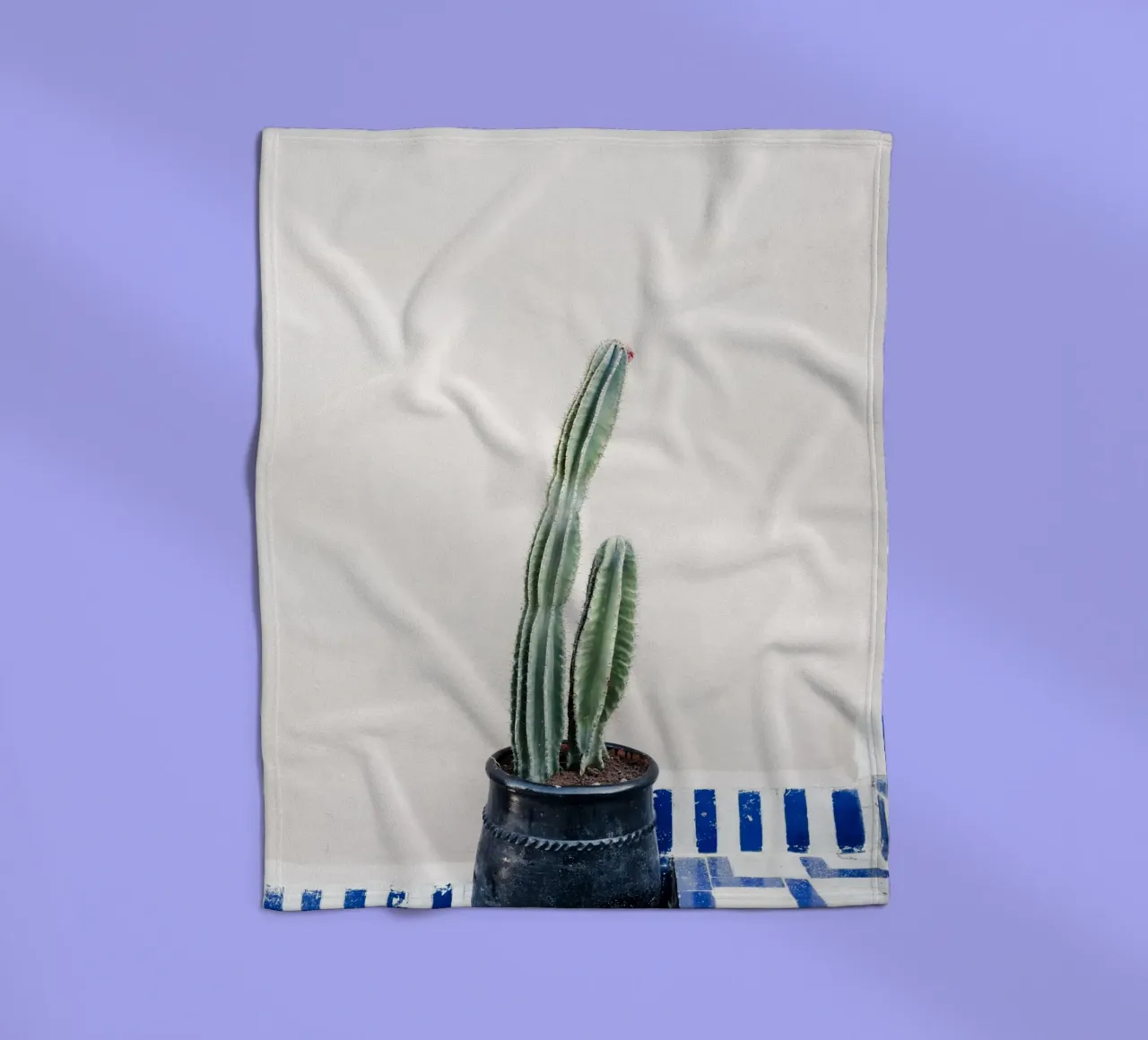 Potted cactus in Morocco coperta in pile da photolovers