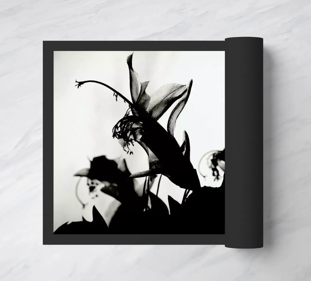 Blossoming II zerbino da Anja Hebrank Photography