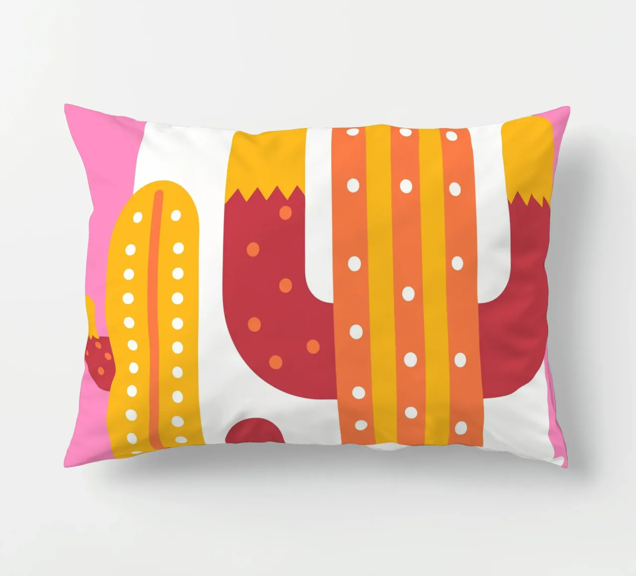 Piante di cactus cuscino da FLOWER PLACE SHOP