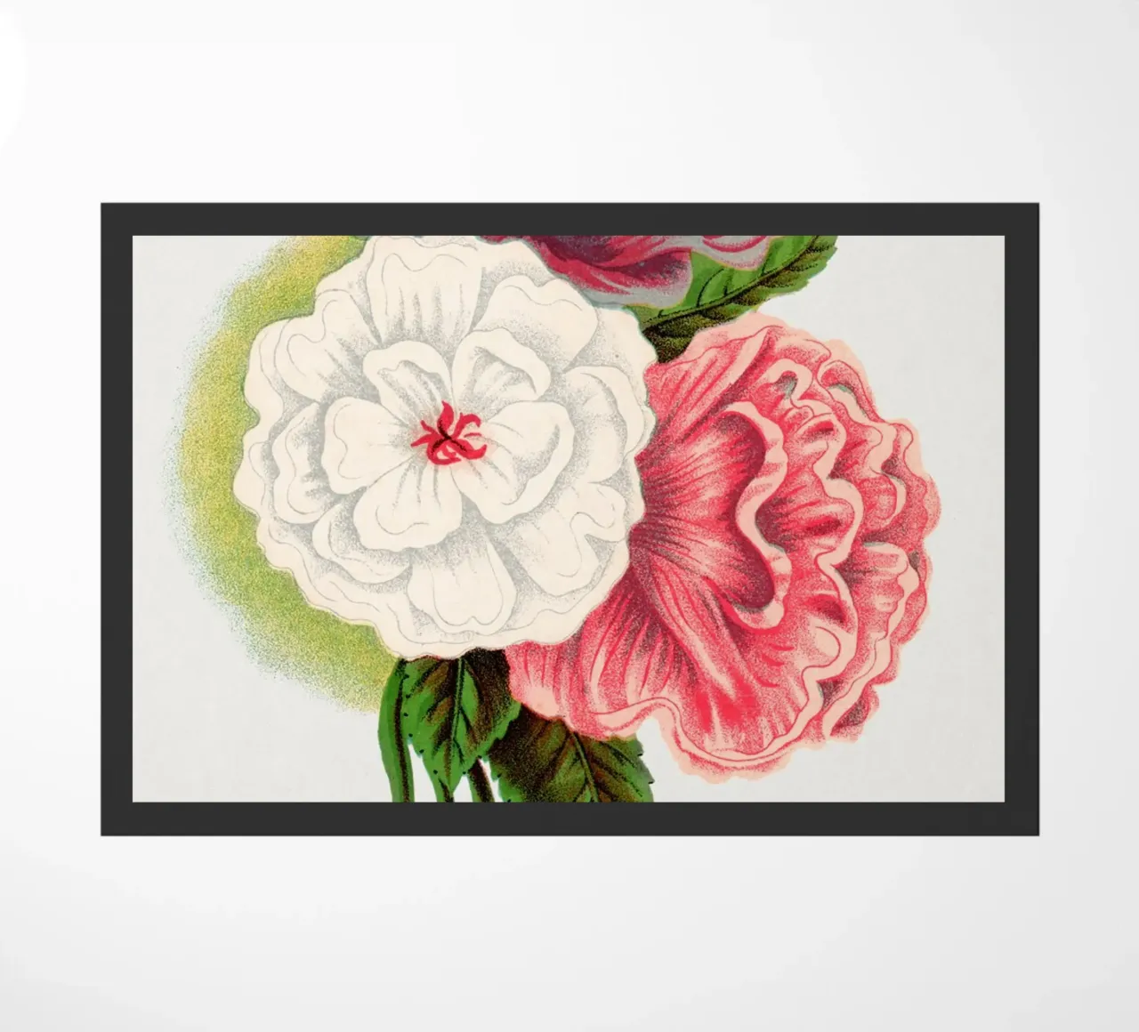 Double Althea in 3 colors zerbino da vintageshop