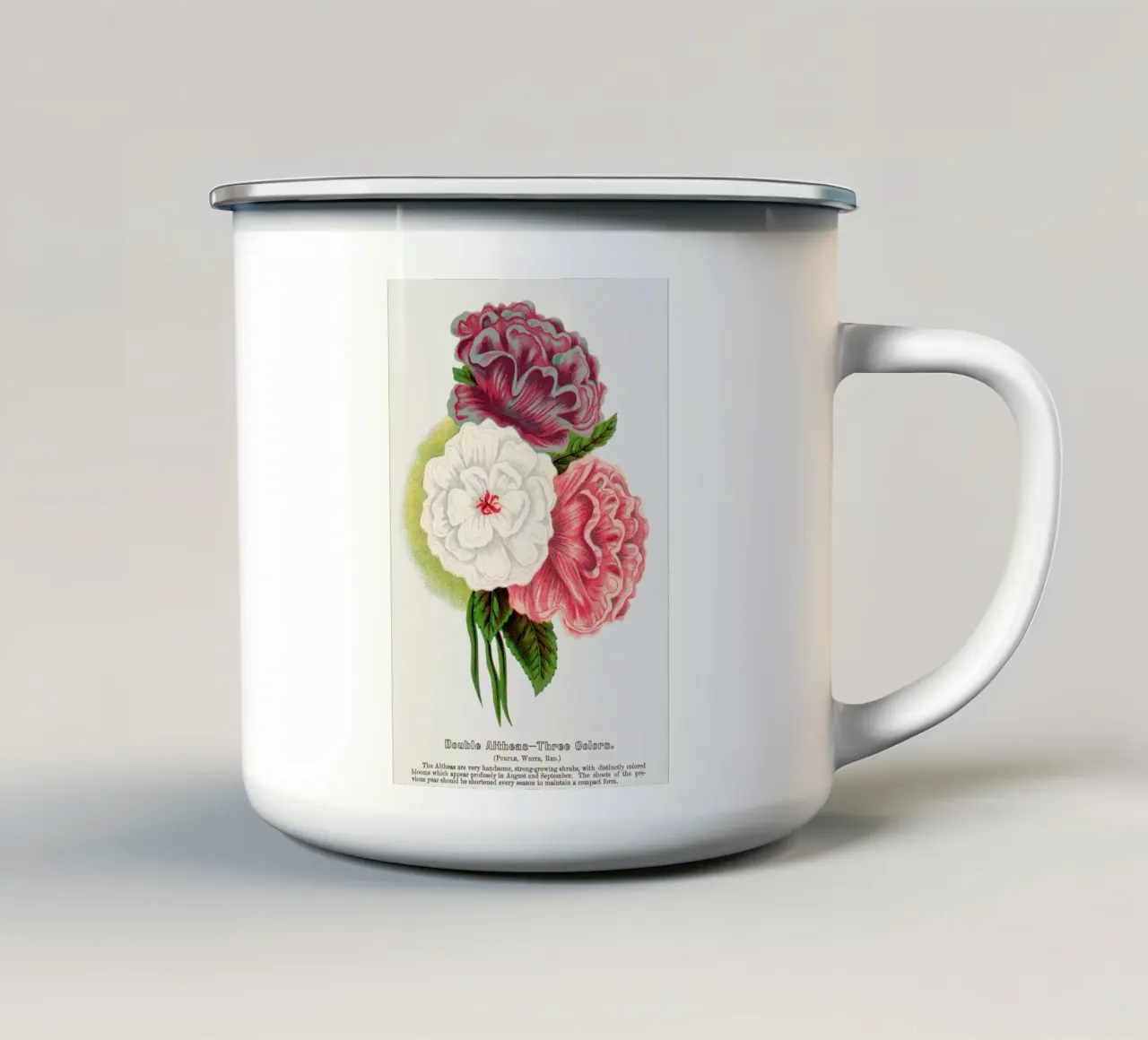 Double Althea in 3 colors tazza in smalto da vintageshop