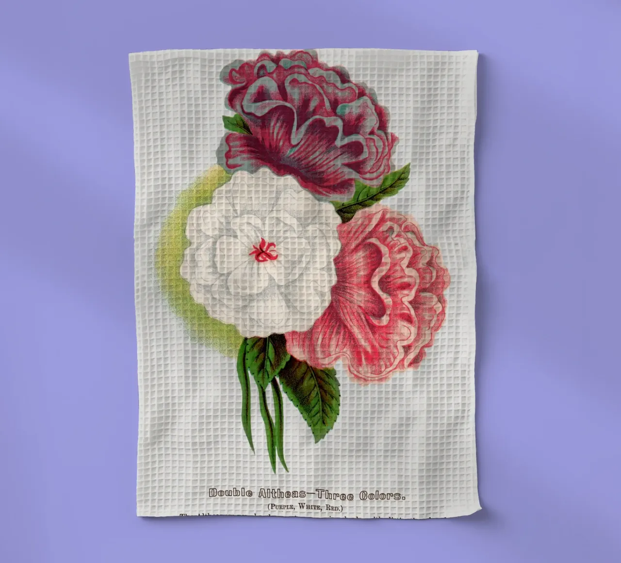 Double Althea in 3 colors canovaccio da cucina da vintageshop