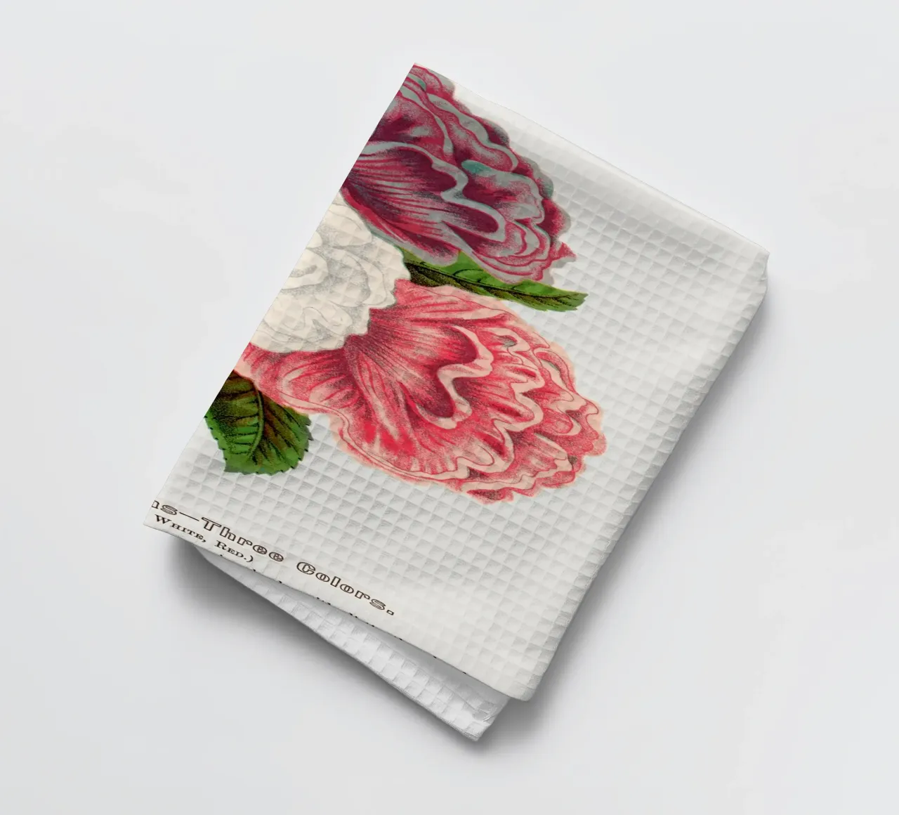 Double Althea in 3 colors canovaccio da cucina da vintageshop