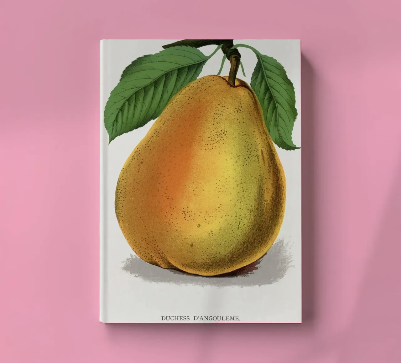 Duchess D'Angouleme pear notebook by vintageshop
