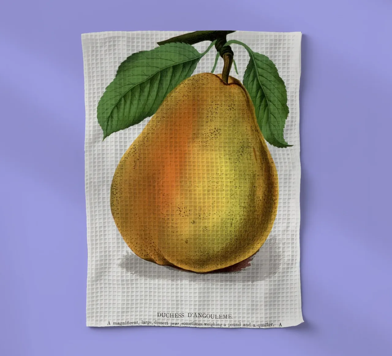Duchess D'Angouleme pear canovaccio da cucina da vintageshop