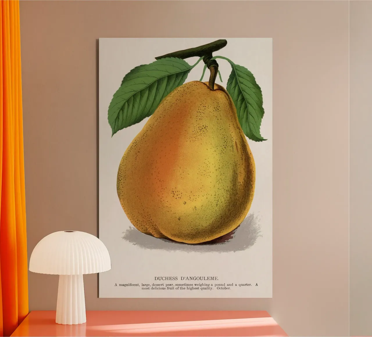 Duchess D'Angouleme pear alluminio dibond da vintageshop