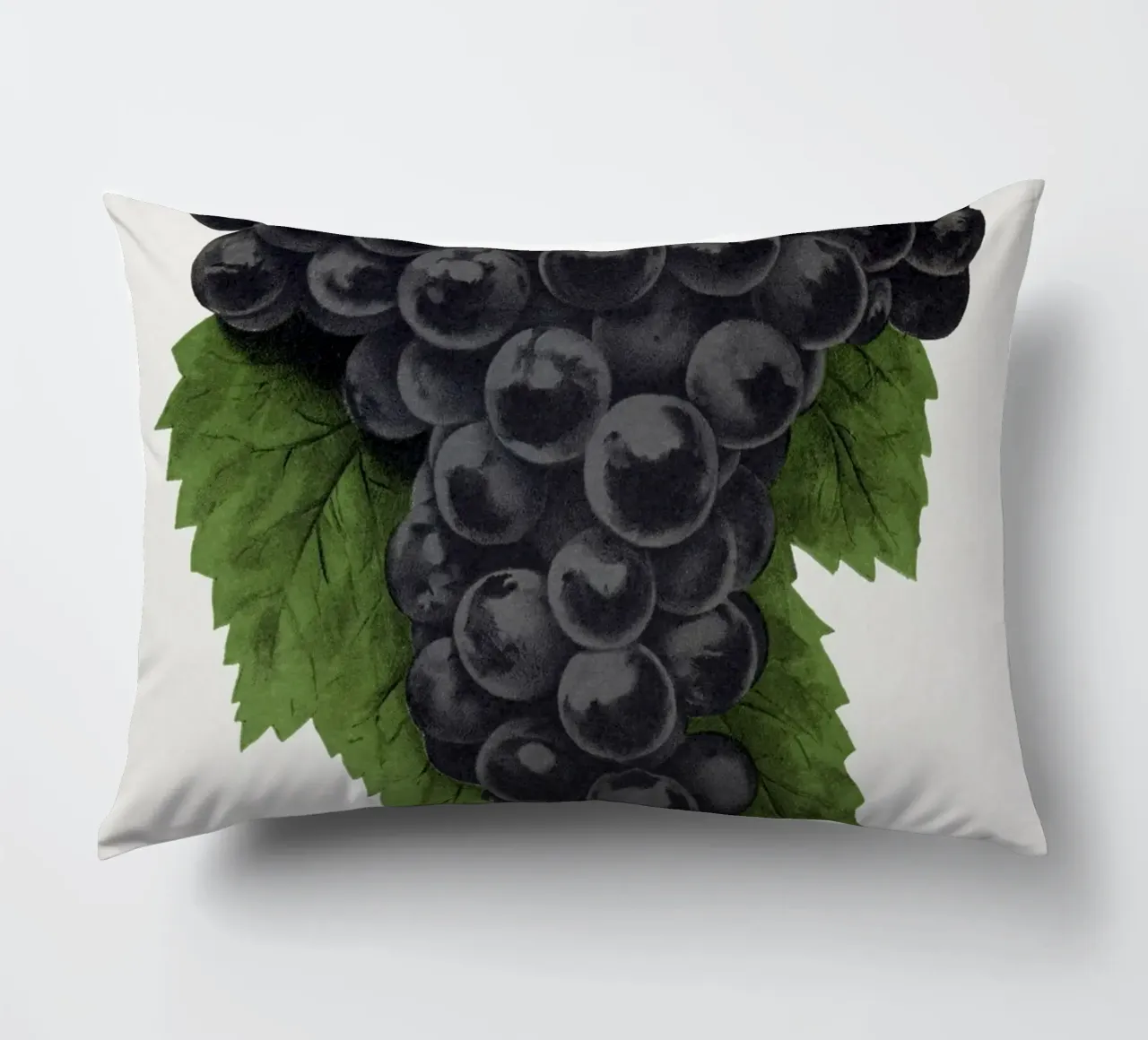 Early Ohio grape cuscino da vintageshop