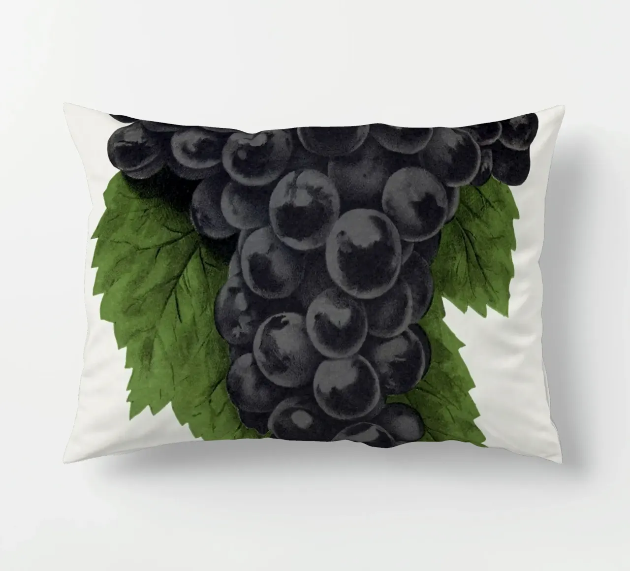 Early Ohio grape cuscino da vintageshop
