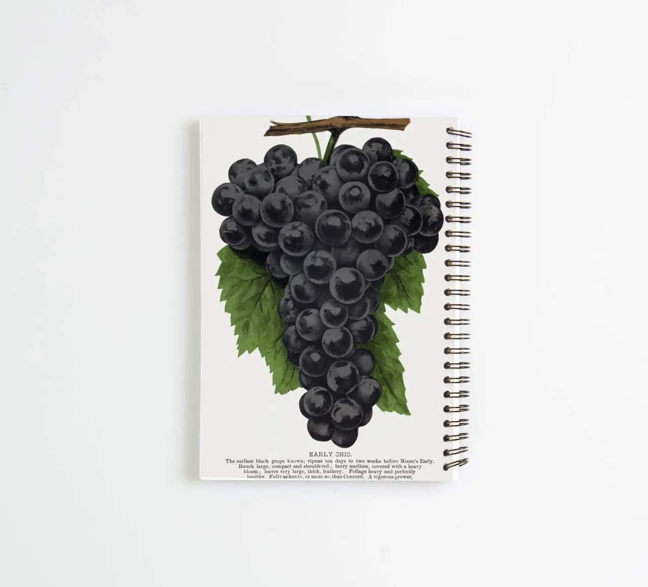 Early Ohio grape spiral notebook by vintageshop