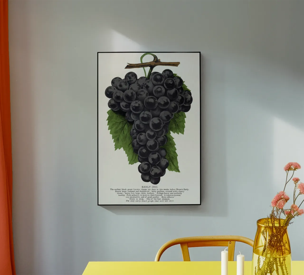 Early Ohio grape plexiglass da vintageshop